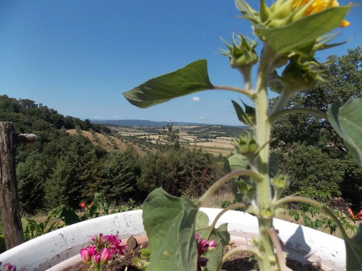 Panorama-Ferien-Toscana Your Cozy And Fully Equipped Vacation Home Massa Marittima